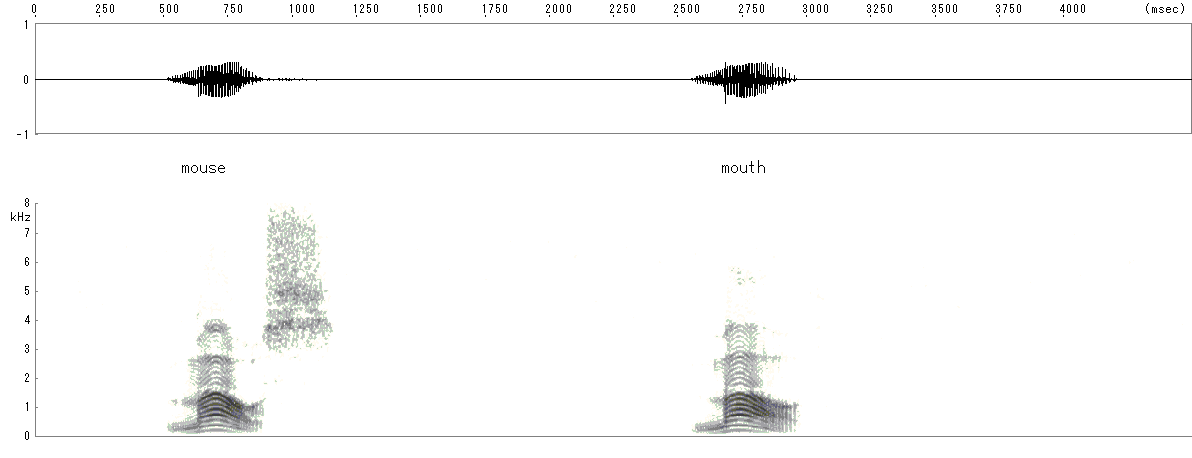 スペクトル画像