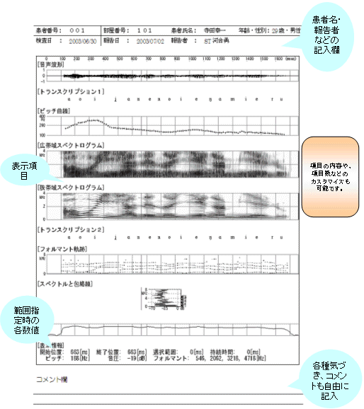 レポートフォーマット（報告書）表示例