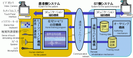 nedosystem