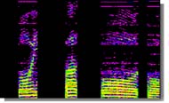 voiceprint