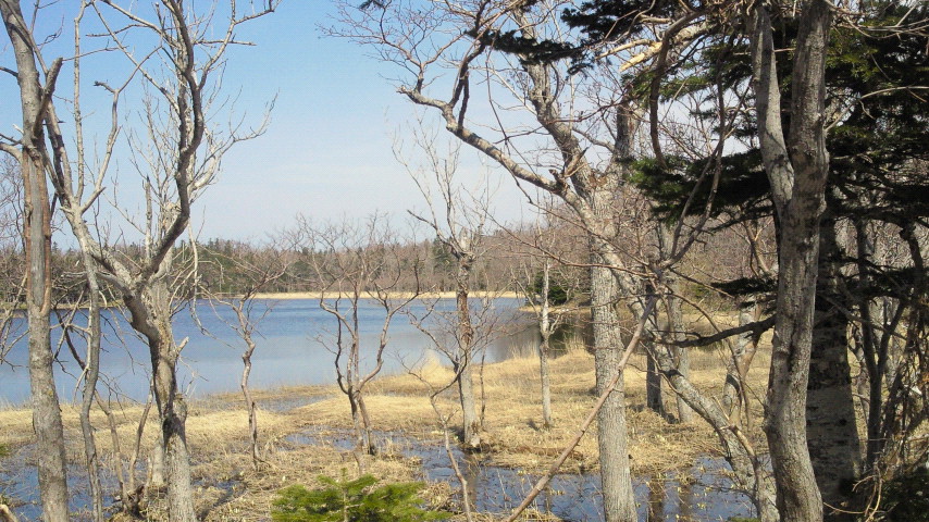 Kushiro