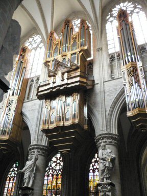 Organ